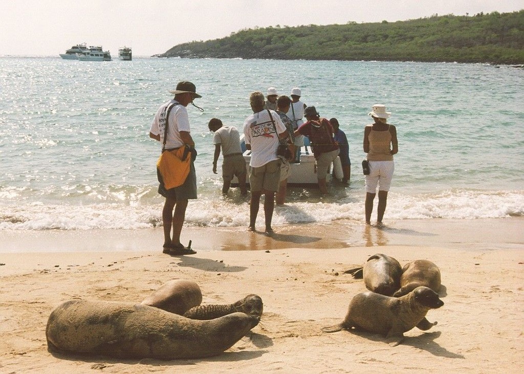 Bue Water Rally - Exploring Galapagos style © Peter Seymour